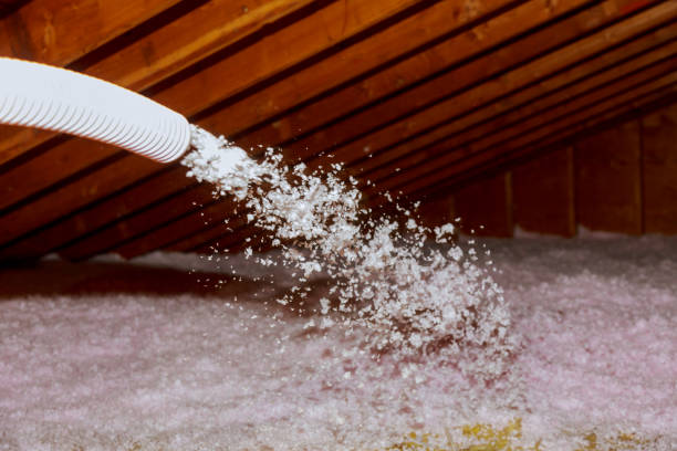 Best Types of Insulation in Breckinridge Center, KY